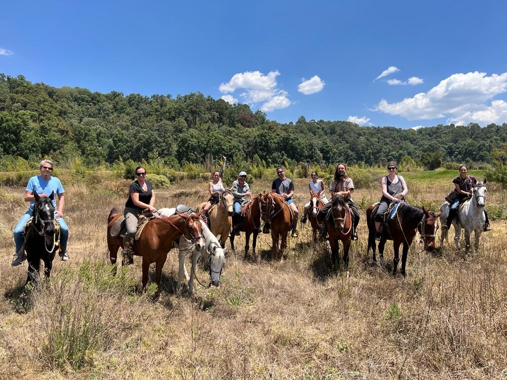 Riding the high fields